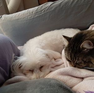 Meet your Posher, Cynthia